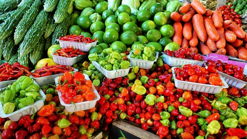 primeur-LE ROURET-min_farmers-market-1329008